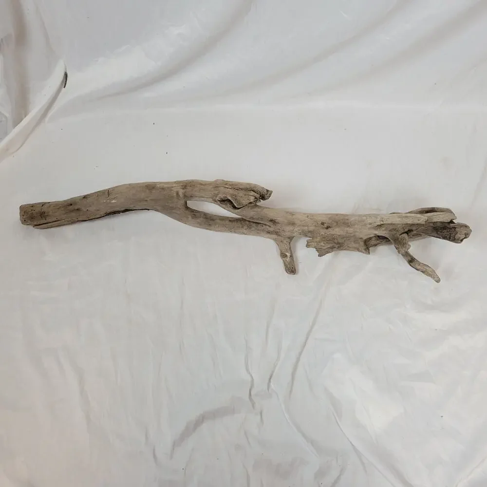 Ohio River Driftwood 44.5